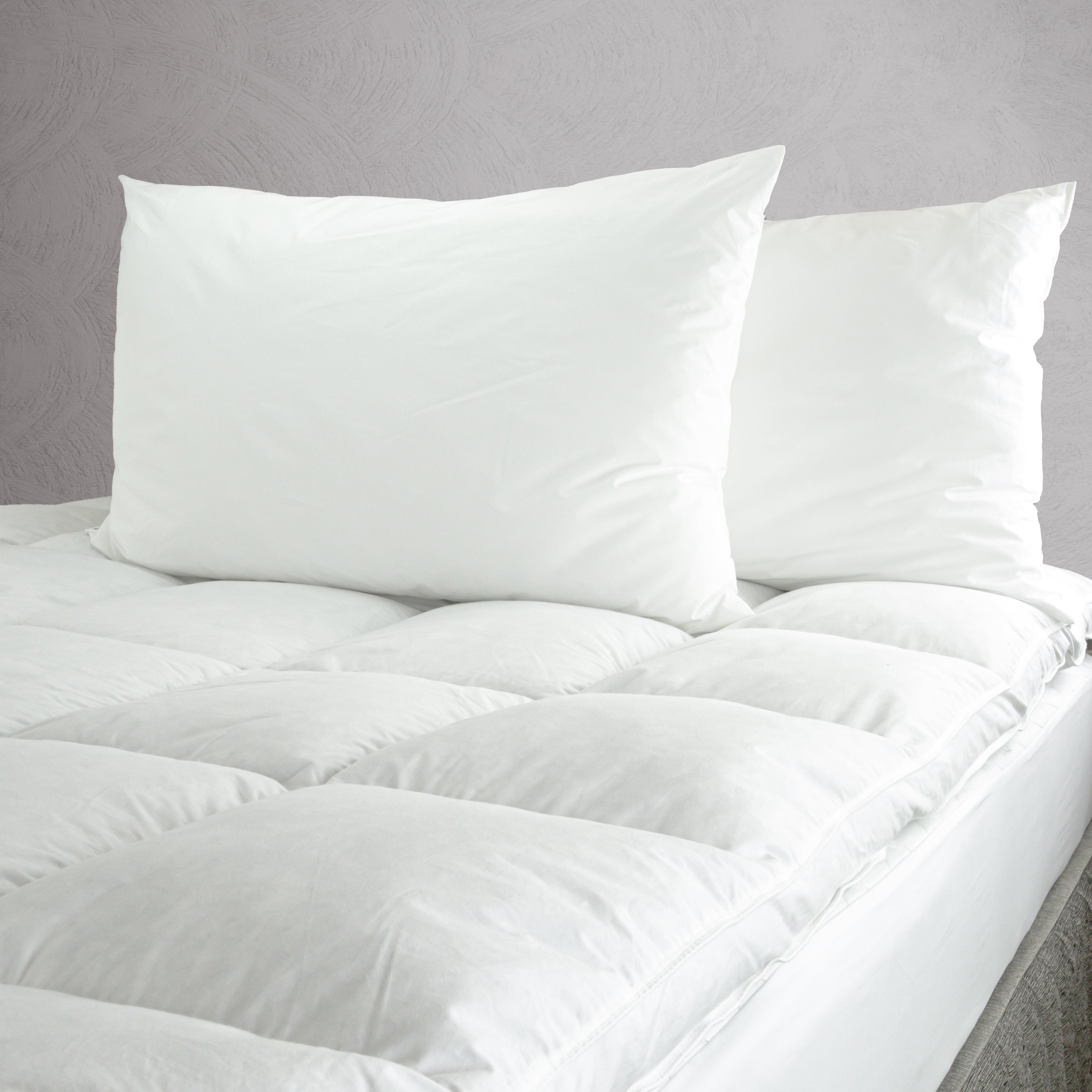 Hotel Pillows