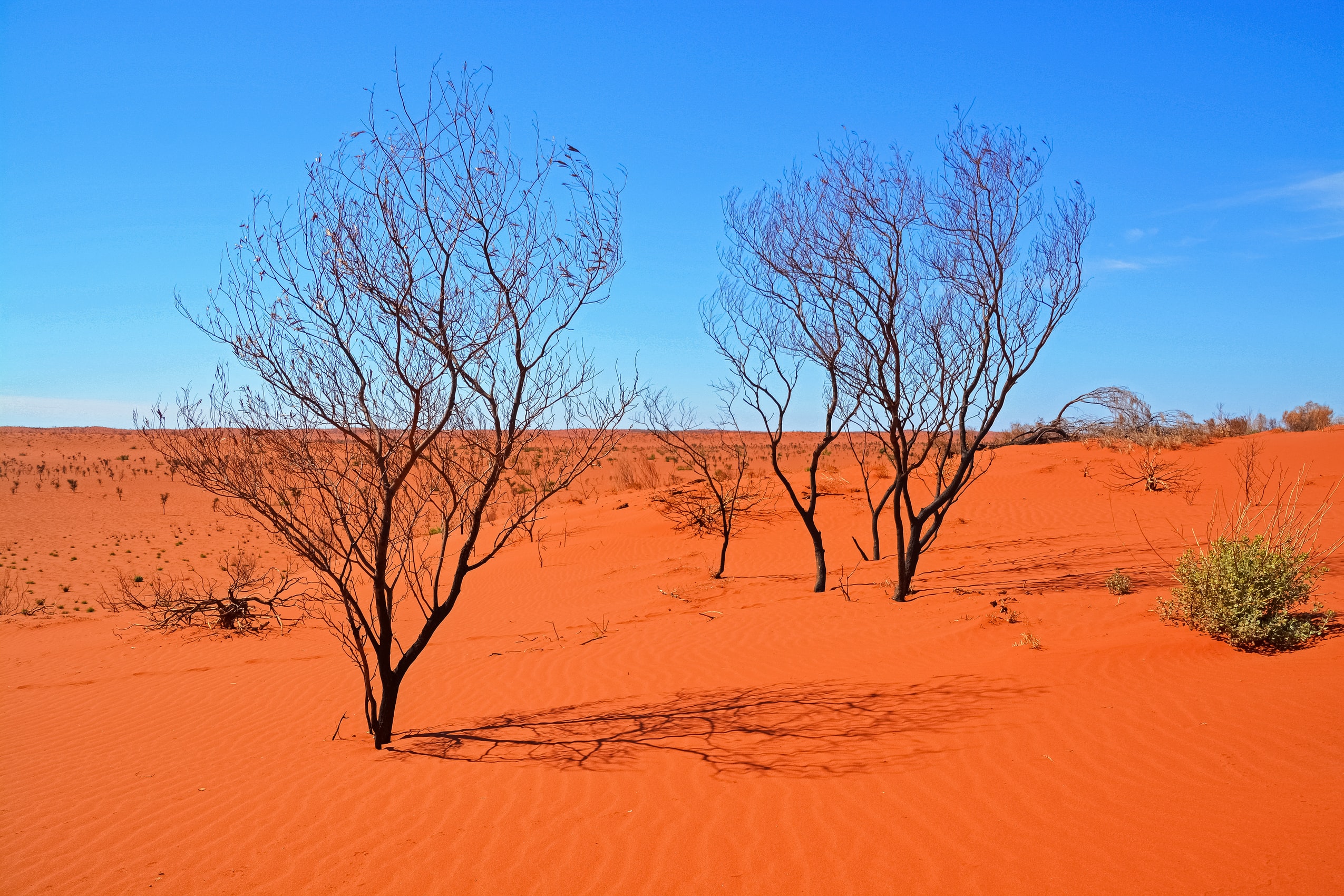 Red Sandy Desert