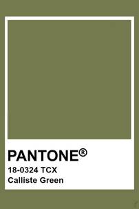 Pantone colour Calliste Green