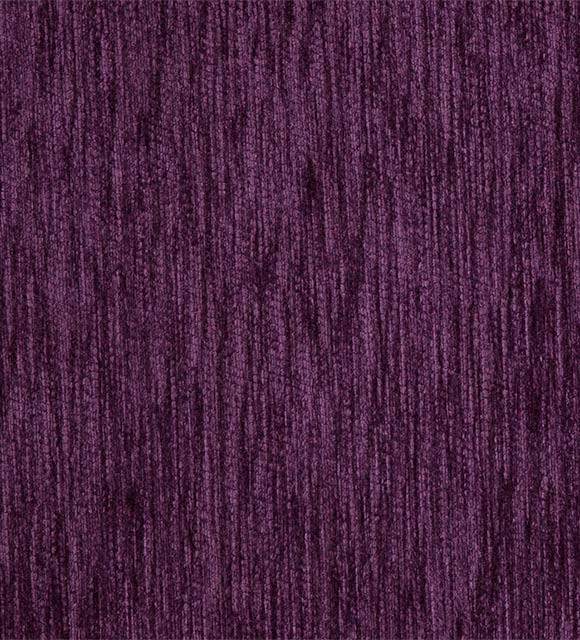 Persia Pansy Purple